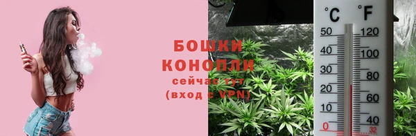 трава Аркадак
