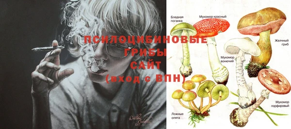 прущий лед Семёнов