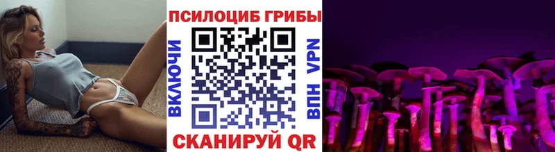 OMG как зайти что такое наркотик Унеча Галлюциногенные грибы прущие грибы