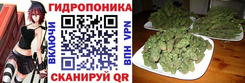 где продают   Унеча  гидра онион  Канабис White Widow 
